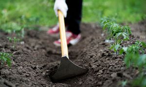 Suchá zima věští suchý rok. Jak v zahradě maximálně šetřit vodou a proč ji nyní napojit?