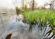 Jak sanovat zahradu zasaženou povodní. Co je nejdůležitější a co se vyplatí nepřehlédnout