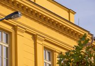 Sítě proti ptákům: Proč jsou nezbytné, kam je instalovat a jaké druhy vybrat