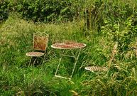 Chaos gardening. Přirozenost, nahodilost, neuspořádanost a biodiverzita