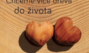 Oslavte s námi den dřevorádů