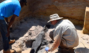 Nejstarší stavba světa je stará neuvěřitelných 476 tisíc let. Je ze dřeva a nestavěl ji homo sapiens