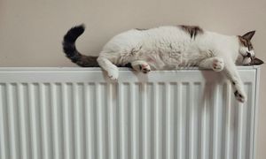 Jaké elektronické oběhové čerpadlo vybrat: Grundfos, nebo Wilo?