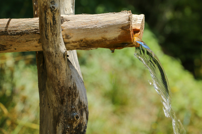 Přírodní pramen (Zdroj: Shutterstock)