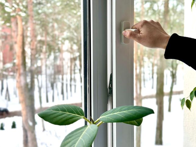 Pokojovky musí v zimě před otevřením oken dokořán z parapetu pryč (Zdroj: Shutterstock)